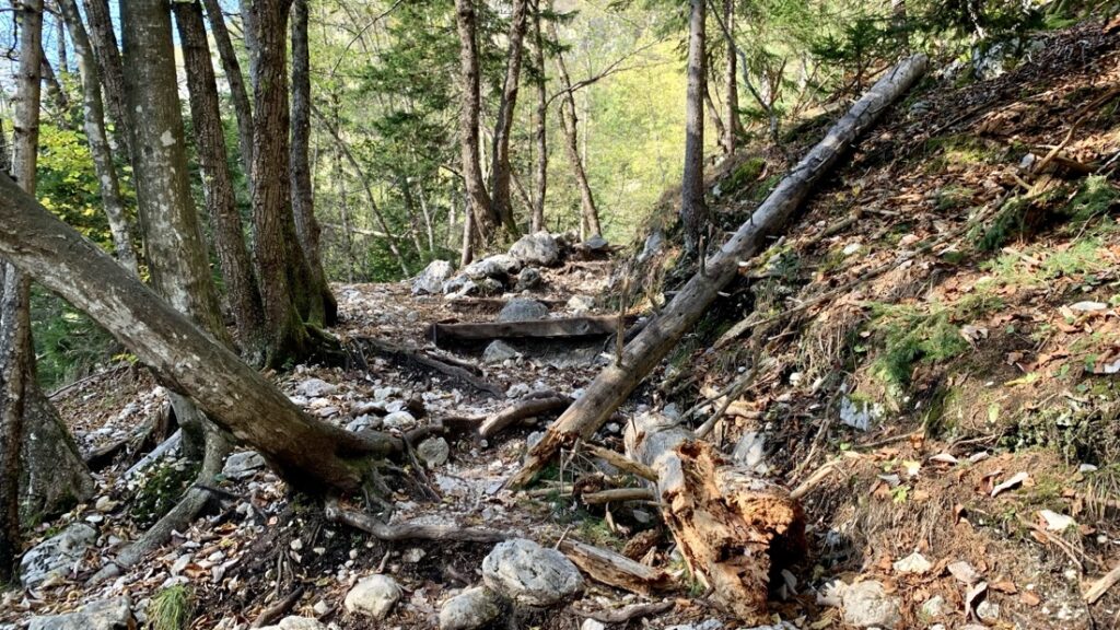 Il sentiero che porta alla sorgente del fiume Isonzo in Slovenia